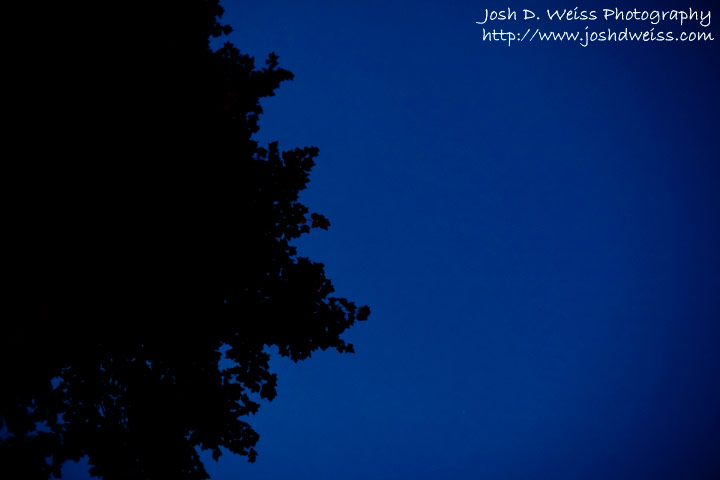 090610_JDW_Night_0002