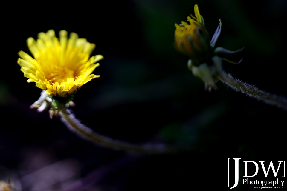 100619_JDW_Breckenridge_0010