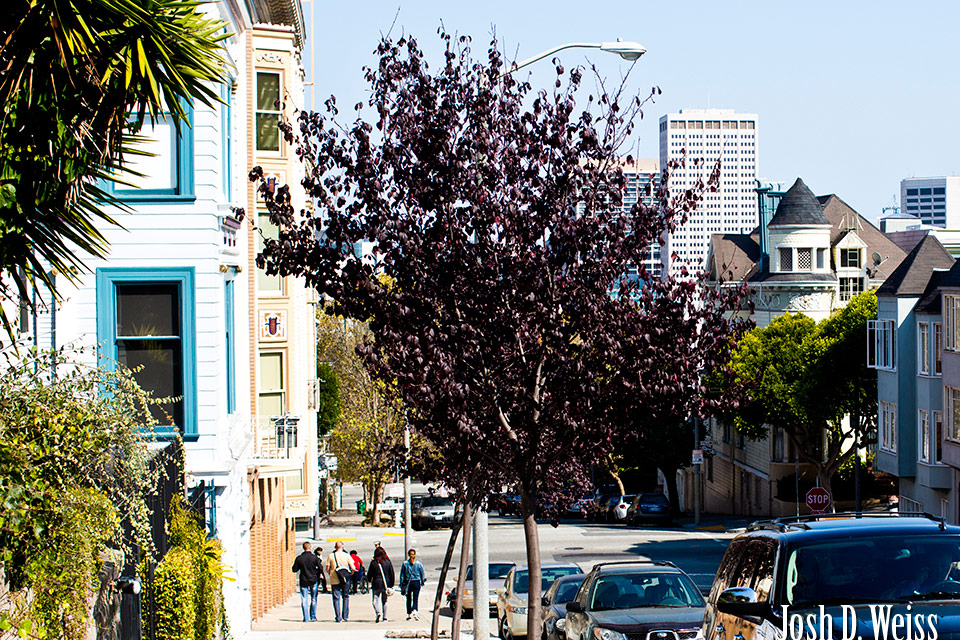 120926_JDW_SanFrancisco_0077