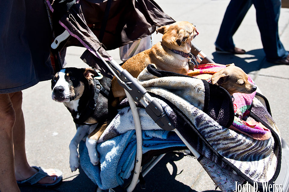 130608_JDW_SanFrancisco_0056