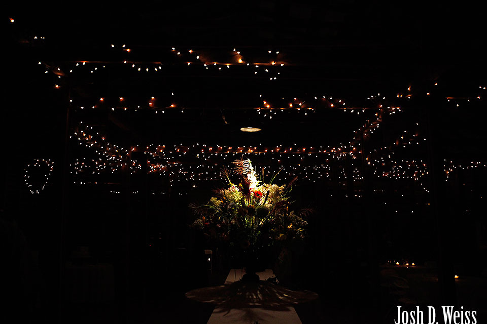 110903_JDW_Asheville-Wedding_1696