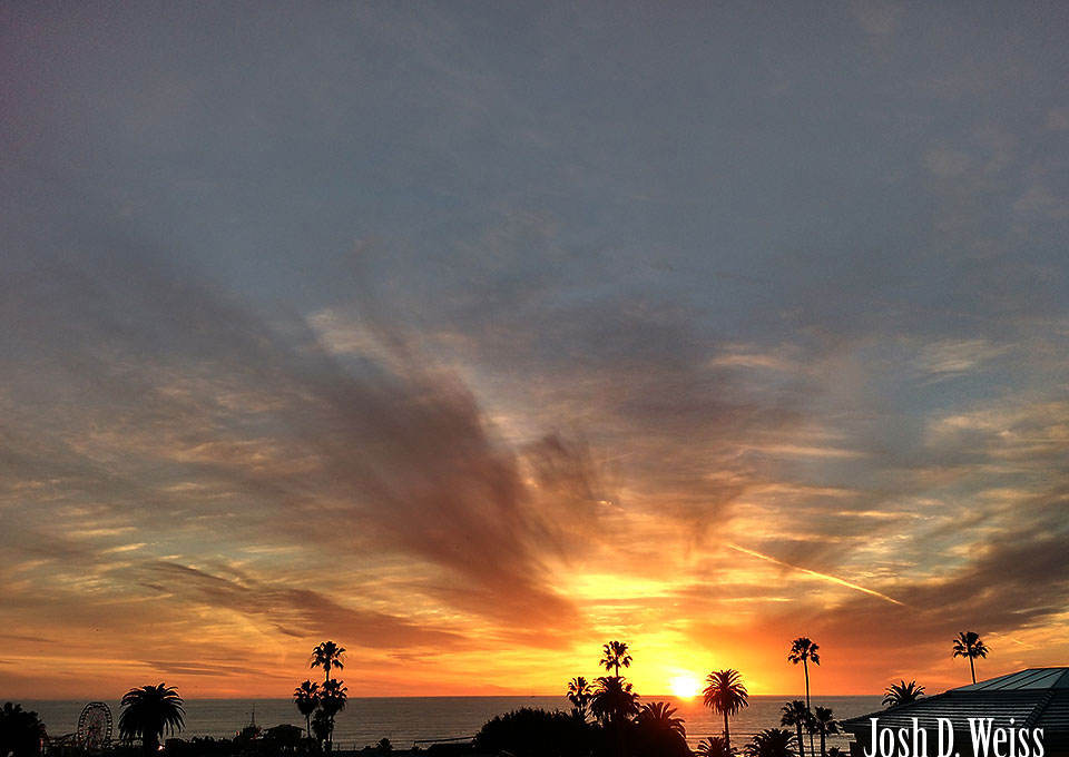 150216_JDW_CellPhone_0002