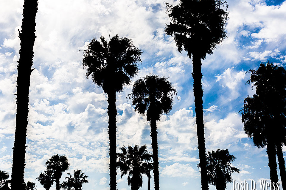 Venice Beach: Sky