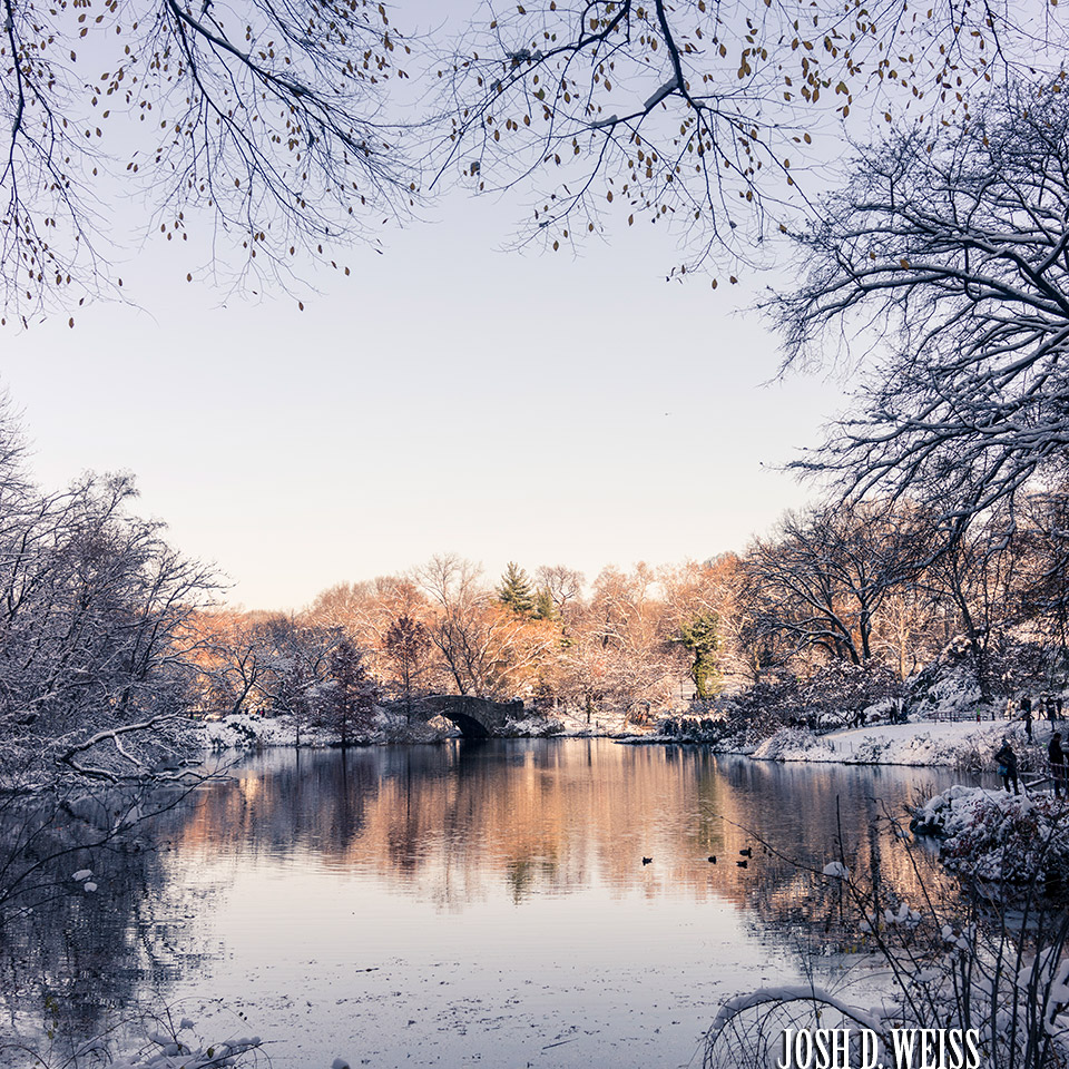 December 2017: Snow in Central Park