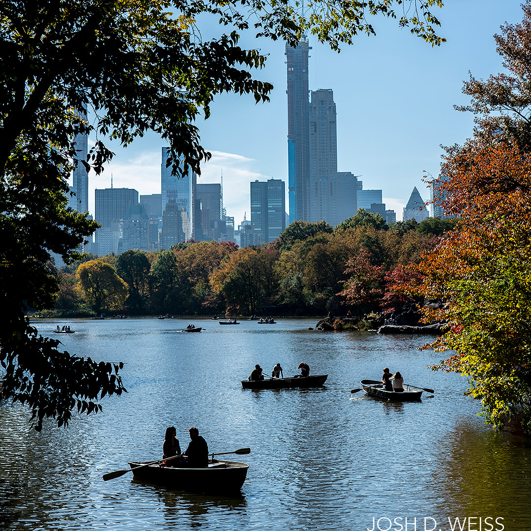 October 2018: Natural History Museum & Central Park