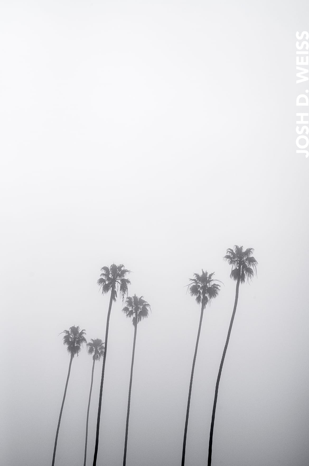 March 2023: Inglewood Fog