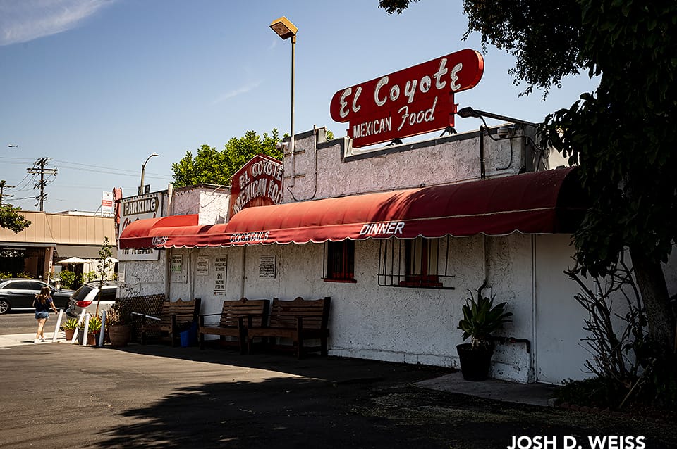 August 2024: El Coyote