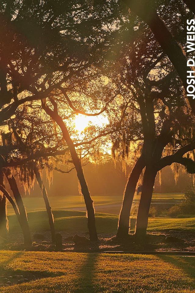 December 2025: Odds & Ends